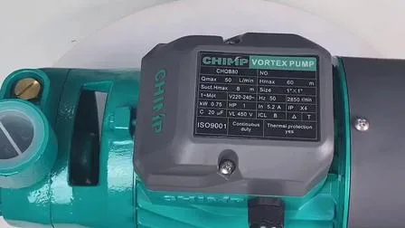 0.5HP 0.75HP 1HP Small Size Home Use Qb60 Vortex Electric Water Pumps